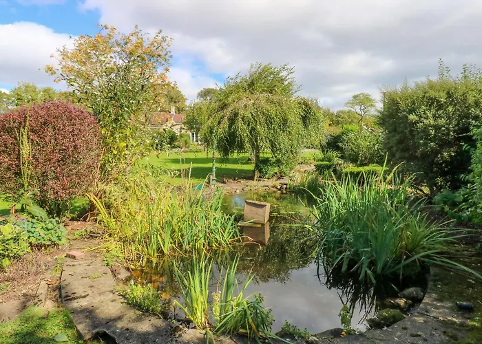 Moorhen House Ferienhaus Bedale